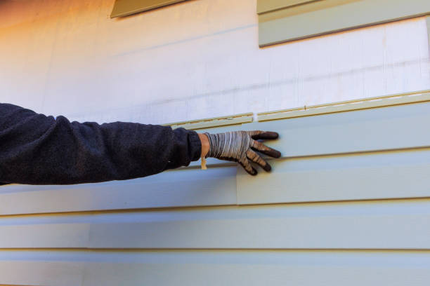 Affordable Siding Repair and Maintenance Services in Toronto, OH